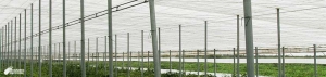 HUMIFITO Phytosanitary Humidifier System for Greenhouses